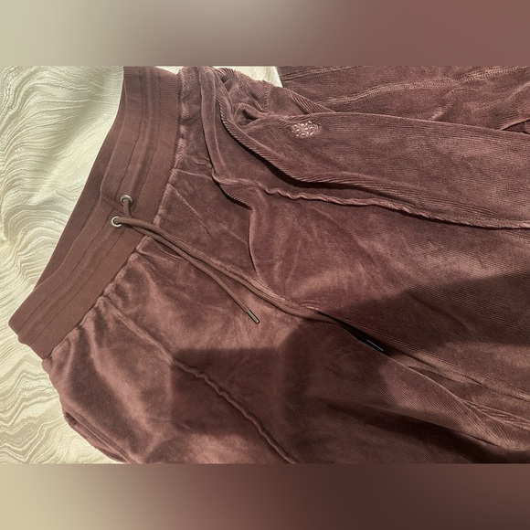 FP Movement by Free People Chocolate Velour Jogger Set - Picture 9 of 14